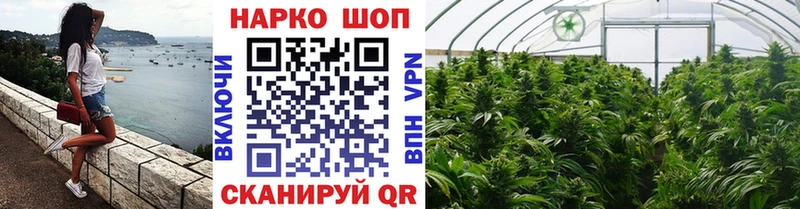 Какие есть наркотики Терек Марихуана  Вейп ТГК  гидра зеркало  Меф  АМФ  Галлюциногенные грибы  ГАШИШ  Cocaine  Альфа ПВП 
