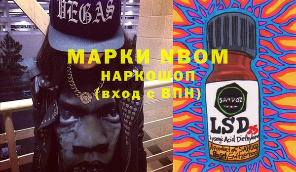 гашик Аркадак