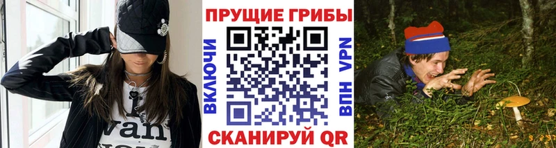 Галлюциногенные грибы MAGIC MUSHROOMS Терек
