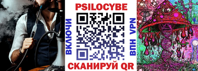 Псилоцибиновые грибы Cubensis  Терек 